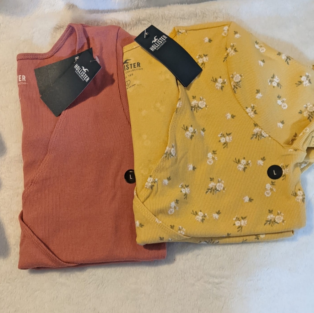 New with tag Two sexy v neck style Hollister shirts .